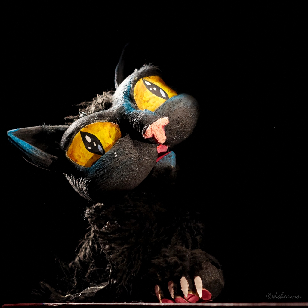 2010-04-tusine-chat-OK (3).jpg - le bien le mal et le chat noir